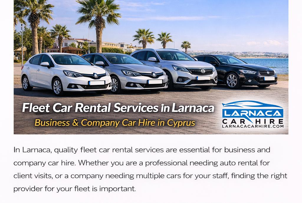 Fleet car rental services in Larnaca Cyprus for business and company use
